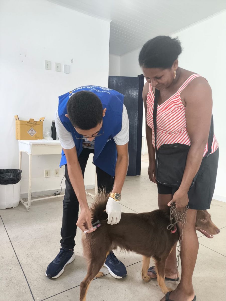 Prefeitura de Eunápolis supera marca de 14,2 mil animais vacinados contra a raiva Prefeitura de Eunápolis supera marca de 14,2 mil animais vacinados contra a raiva