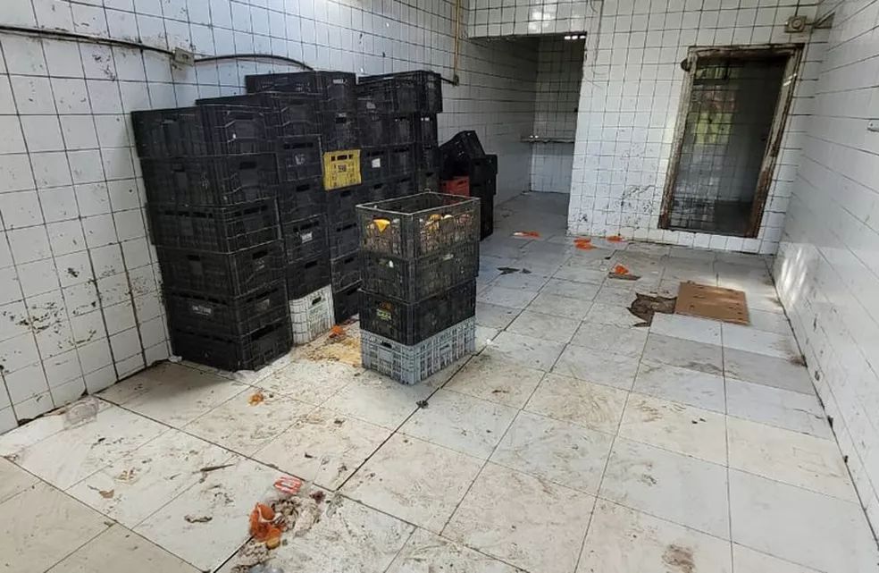 Imóvel onde trabalhadores estavam ficando em zona rural em Simões Filho 
